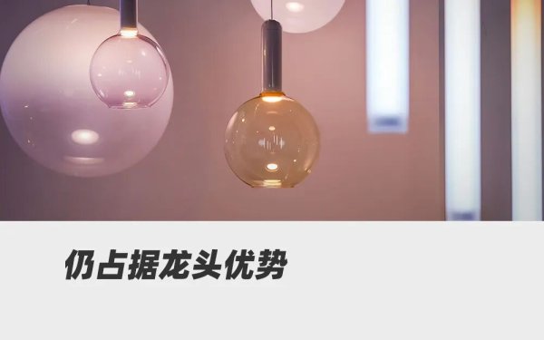 欧普照明，遭监管点名