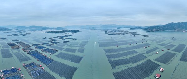 今天是世界海洋日｜当我们向深远海要“粮”，能否唱好“渔歌新韵”？