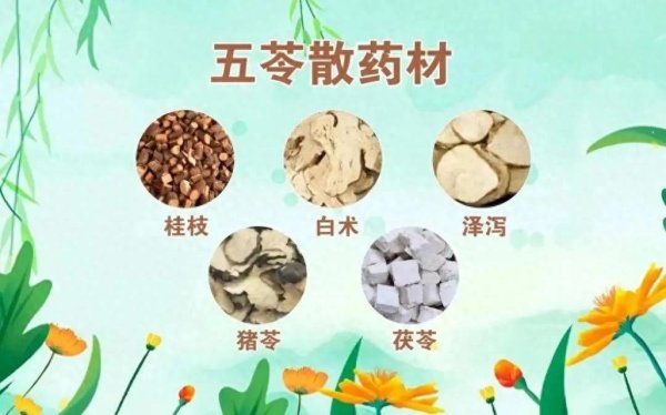 “医圣”张仲景: 凡是小便不利, 皆可用这10个经方治本