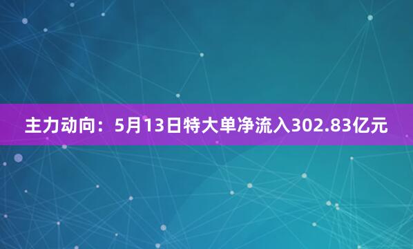 主力动向：5月13日特大单净流入302.83亿元