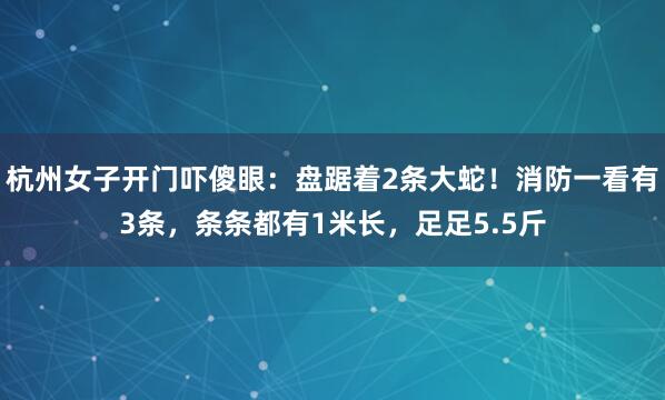 杭州女子开门吓傻眼：盘踞着2条大蛇！消防一看有3条，条条都有1米长，足足5.5斤