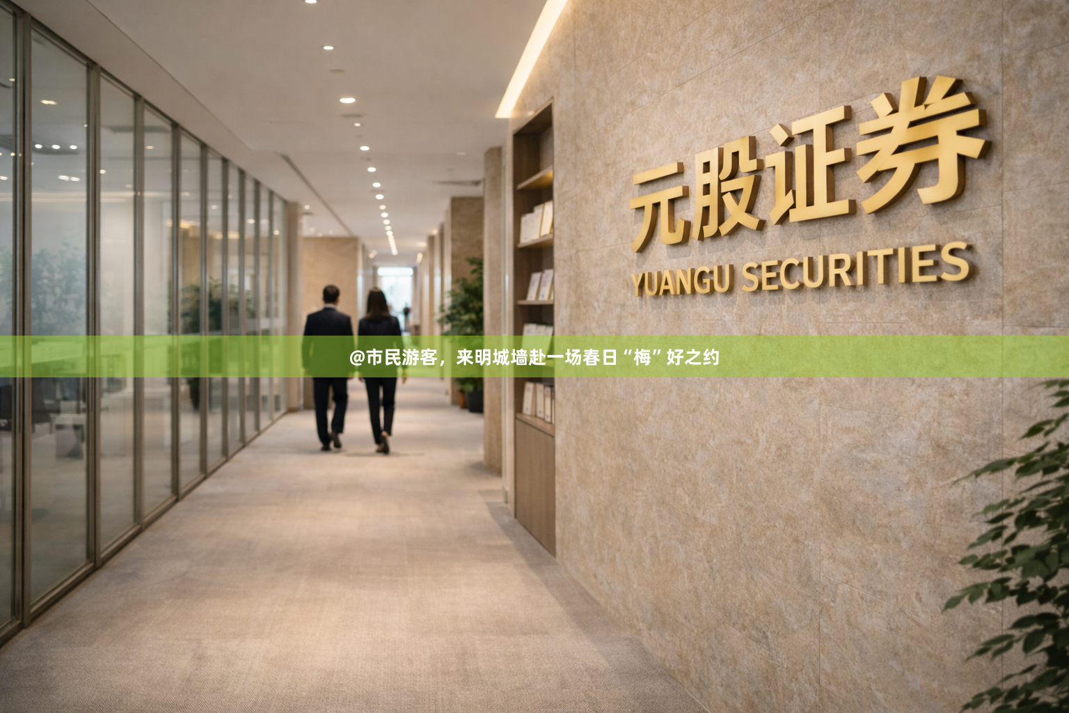 @市民游客，来明城墙赴一场春日“梅”好之约