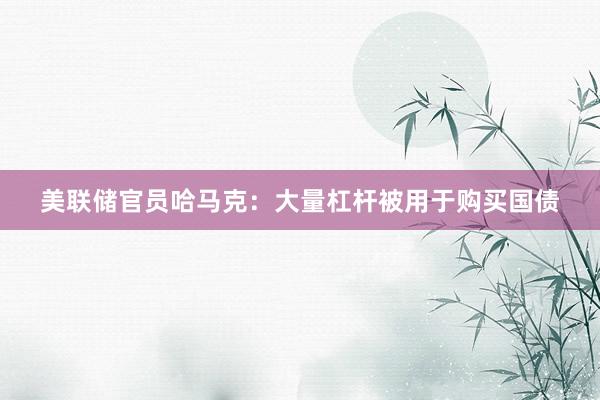 美联储官员哈马克：大量杠杆被用于购买国债