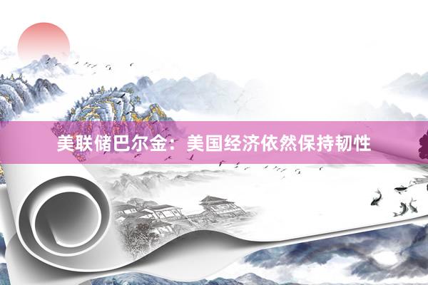 美联储巴尔金：美国经济依然保持韧性