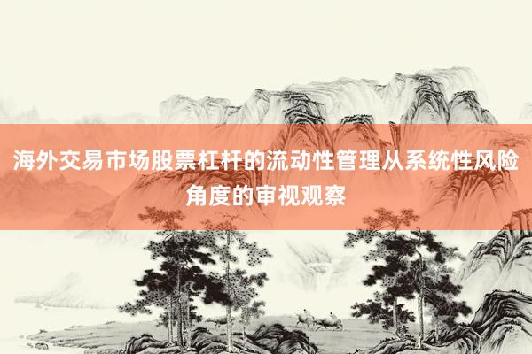 海外交易市场股票杠杆的流动性管理从系统性风险角度的审视观察