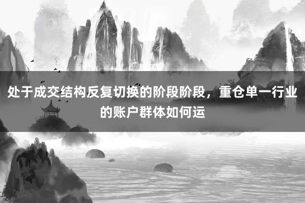 处于成交结构反复切换的阶段阶段，重仓单一行业的账户群体如何运