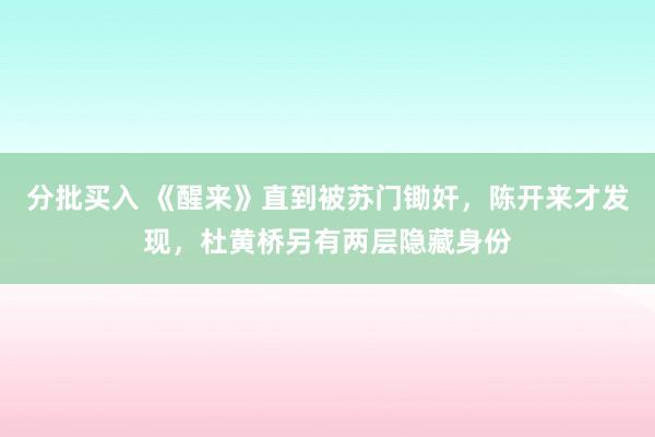 分批买入 《醒来》直到被苏门锄奸，陈开来才发现，杜黄桥另有两层隐藏身份