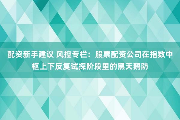 配资新手建议 风控专栏：股票配资公司在指数中枢上下反复试探阶段里的黑天鹅防