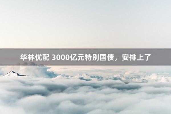 华林优配 3000亿元特别国债，安排上了