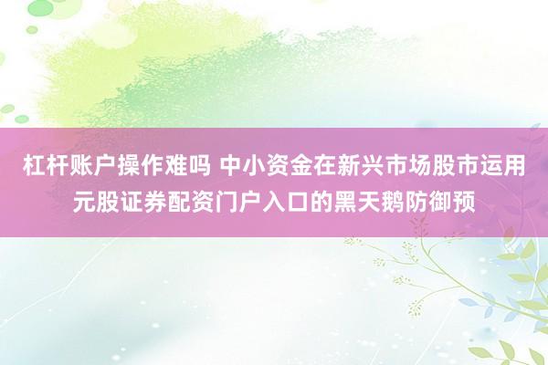 杠杆账户操作难吗 中小资金在新兴市场股市运用元股证券配资门户入口的黑天鹅防御预