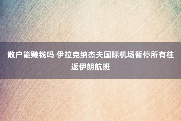 散户能赚钱吗 伊拉克纳杰夫国际机场暂停所有往返伊朗航班