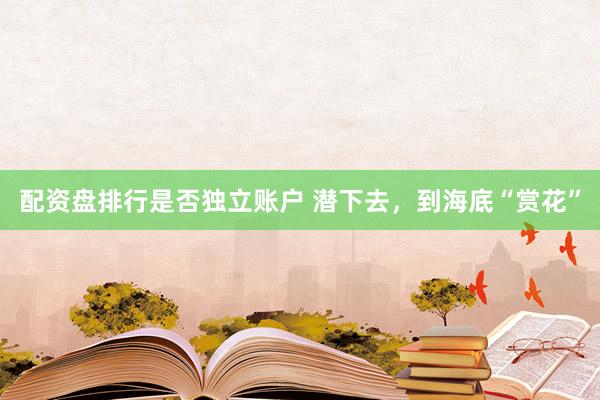 配资盘排行是否独立账户 潜下去，到海底“赏花”